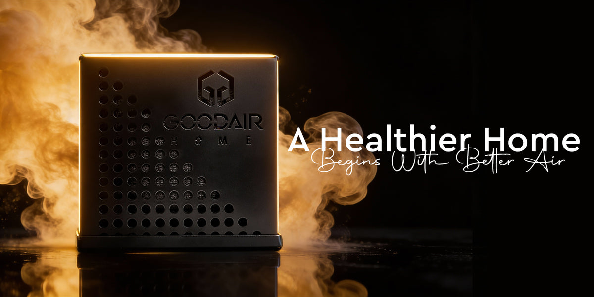 Best Car Air Purifier In UAE | Non-Electric & Long-Lasting | GOODAIR